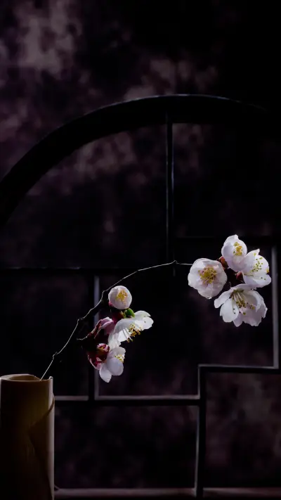 VCG41N177016808 - Screenshot 1