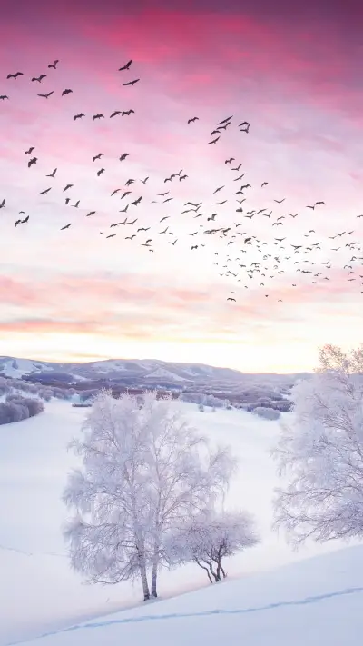 Cant Miss Saihan Dam 0