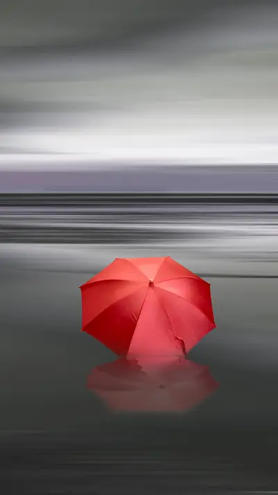 Literary umbrella-01