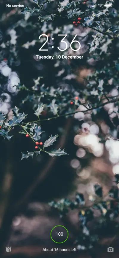 Official MIUI Theme_16 - Screenshot 1