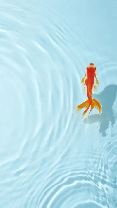 VCG211121731692 - Screenshot 1