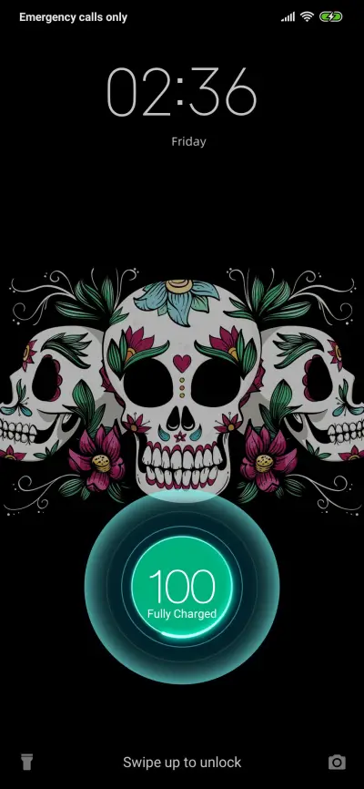 Skull_3MDS - Screenshot 1