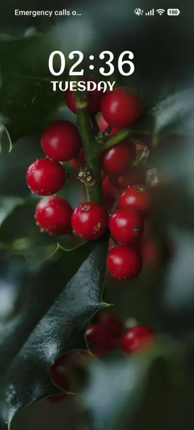 Winter Berries - Screenshot 1