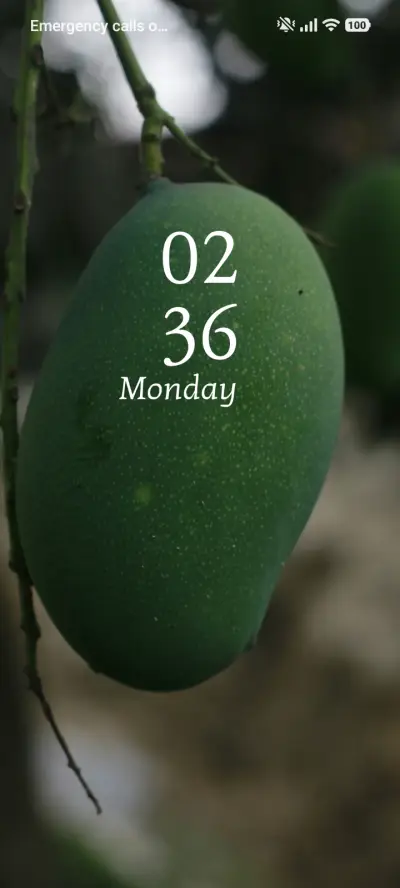 Fresh Canopy THEME for Xiaomi MIUI HyperOS