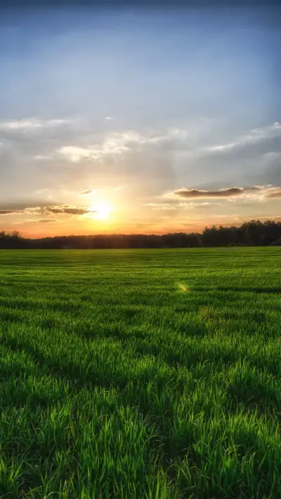 beautiful wallpaper-04