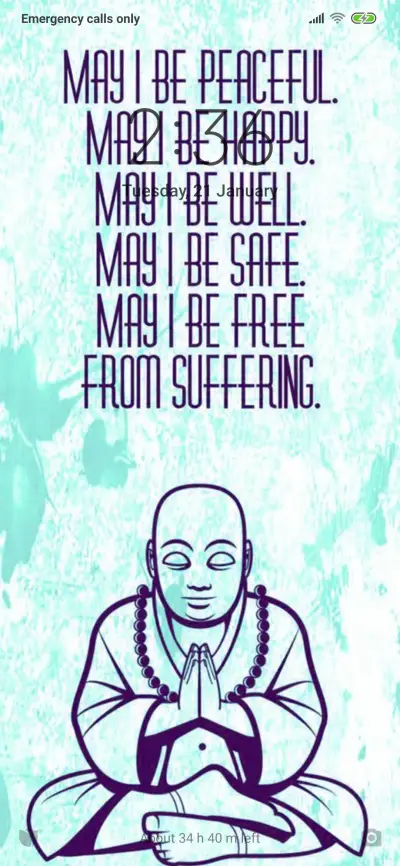 Official MIUI Theme_11 - Screenshot 1