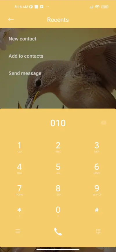 Bird Feeding - Screenshot 6