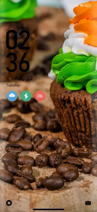 India - Screenshot 1