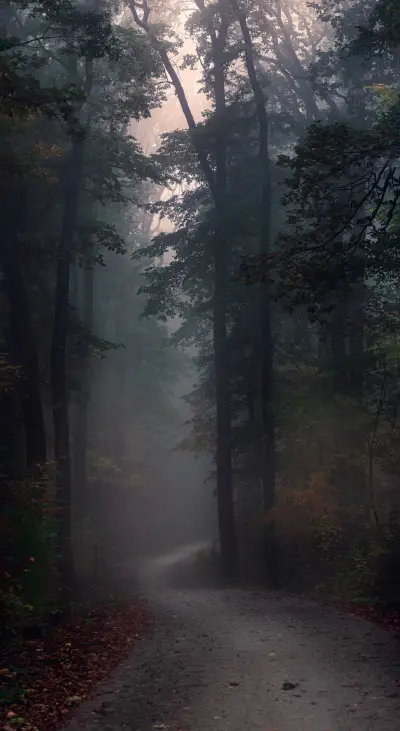 Roads & Pathways (15) - Screenshot 1