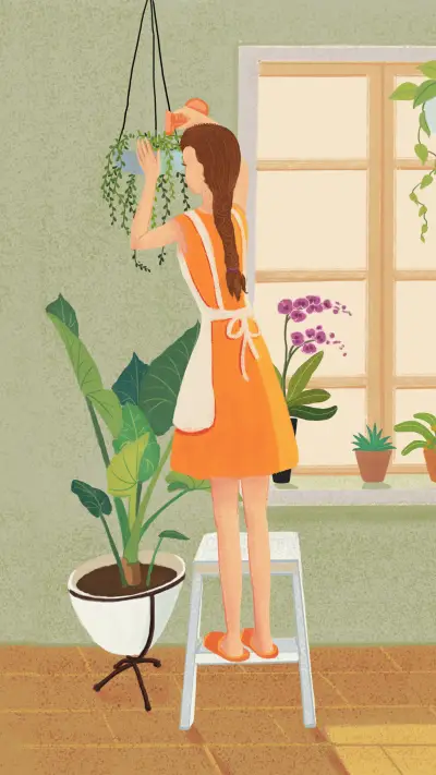 Plants suitable for kitchen 0