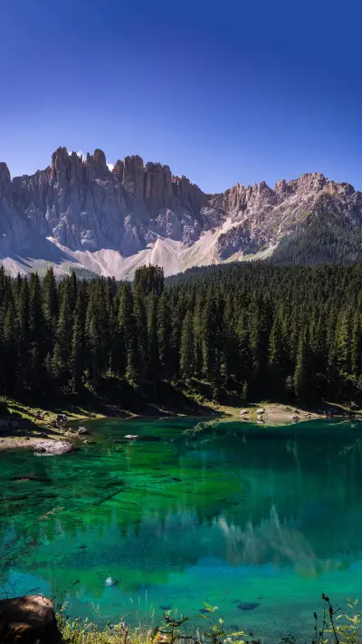 Forests and mountains