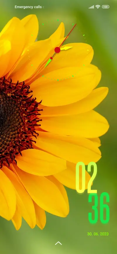 sunflower beauty - Screenshot 1