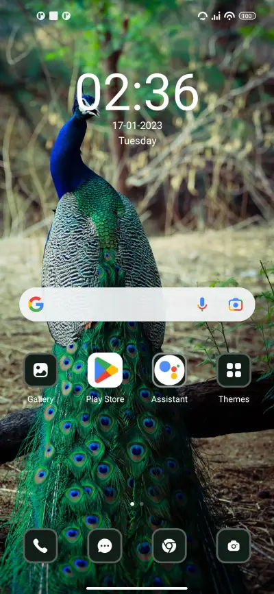 Peacock - Screenshot 2