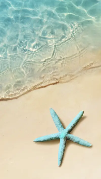 Star Fish on Beach