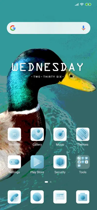 Duckk_DWM19 - Screenshot 2