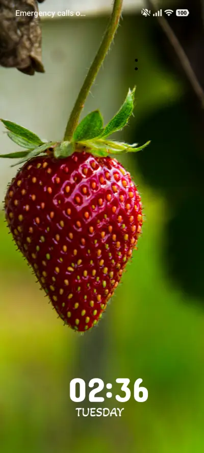 Fresh Strawberry