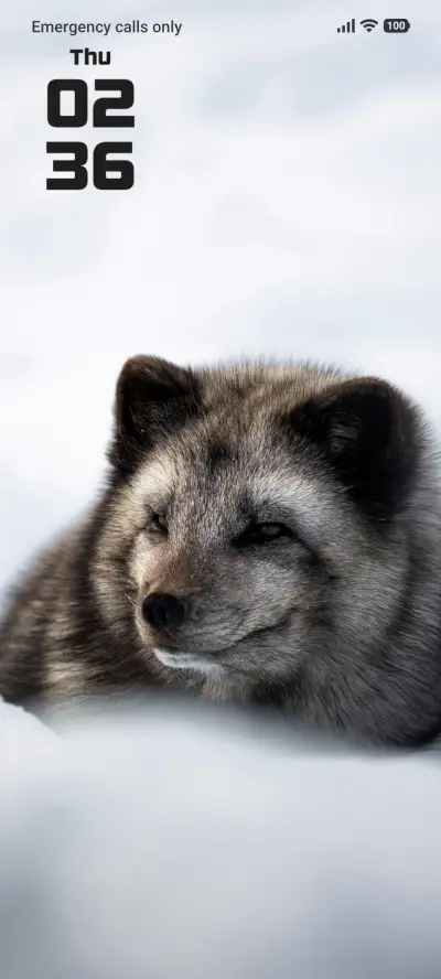 Wolf THEME for Xiaomi MIUI HyperOS