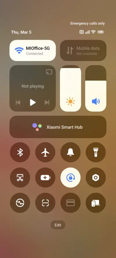 Spring Flowers - Screenshot 5