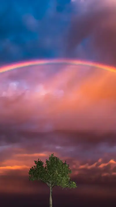 Rainbow Dream in Qiaoyuwan