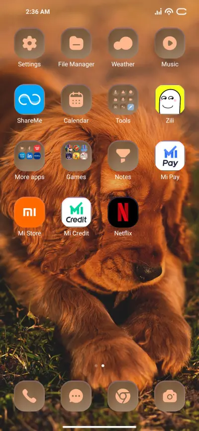 GoldDog - Screenshot 3