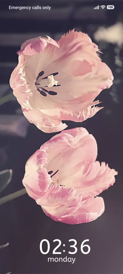 Tulip Glow - Screenshot 1