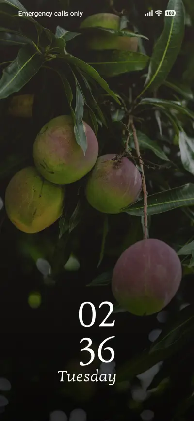 Mango Cluster THEME for Xiaomi MIUI HyperOS