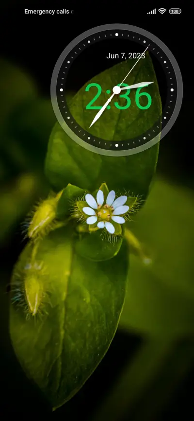 nature buds - Screenshot 1