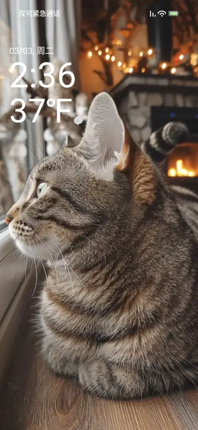 My kitten - Screenshot 1