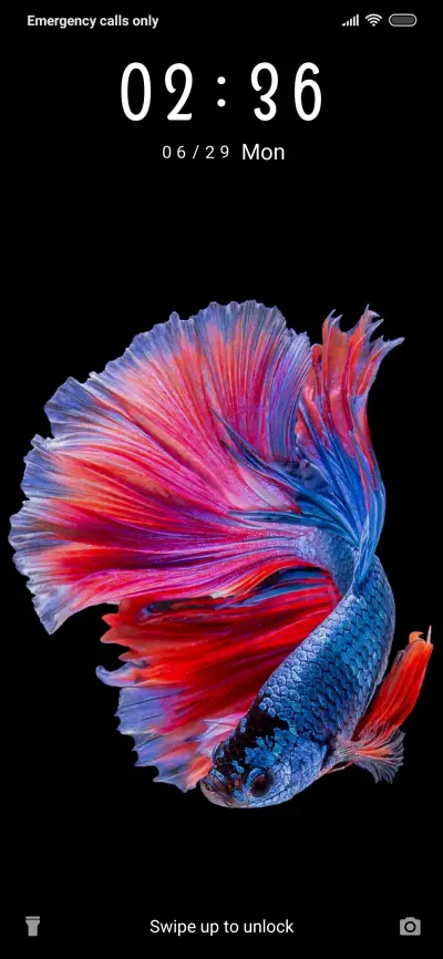 Betta Fish_3MDS THEME for Xiaomi MIUI HyperOS