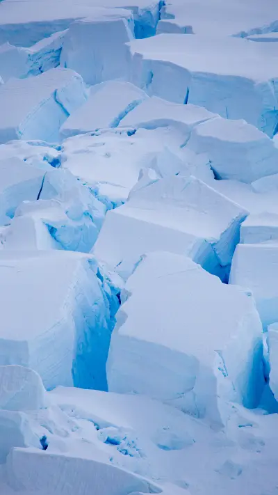 Recurrent Epidemic in Antarctica 8