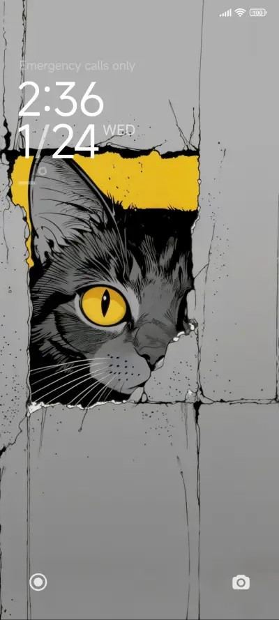 black cat - Screenshot 2