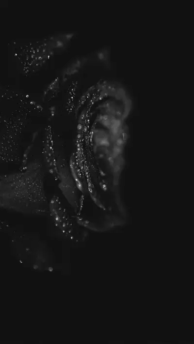 Black and White Photography Art - Screenshot 1