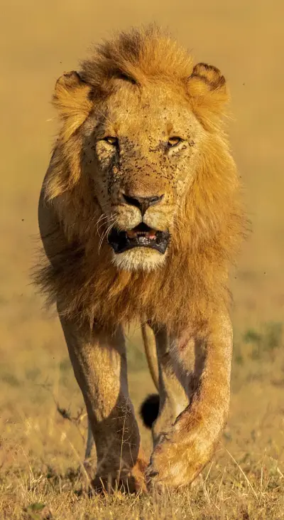 Kalyan Chakraborty (17)