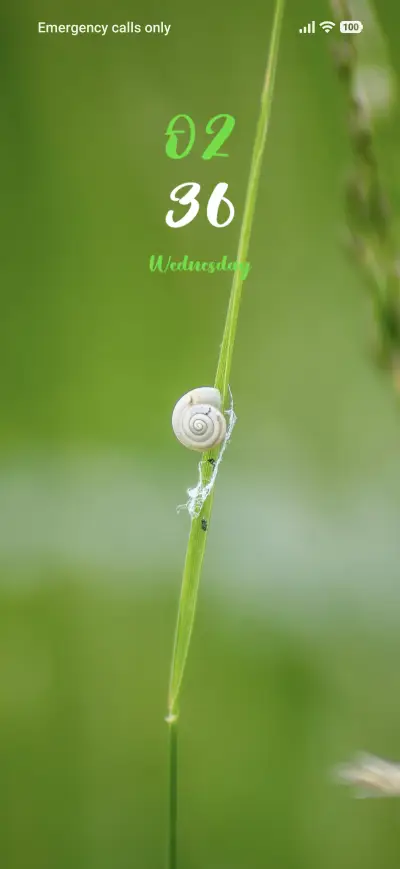White Snail THEME for Xiaomi MIUI HyperOS