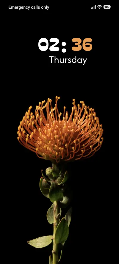 Shadow Hollow - Screenshot 1