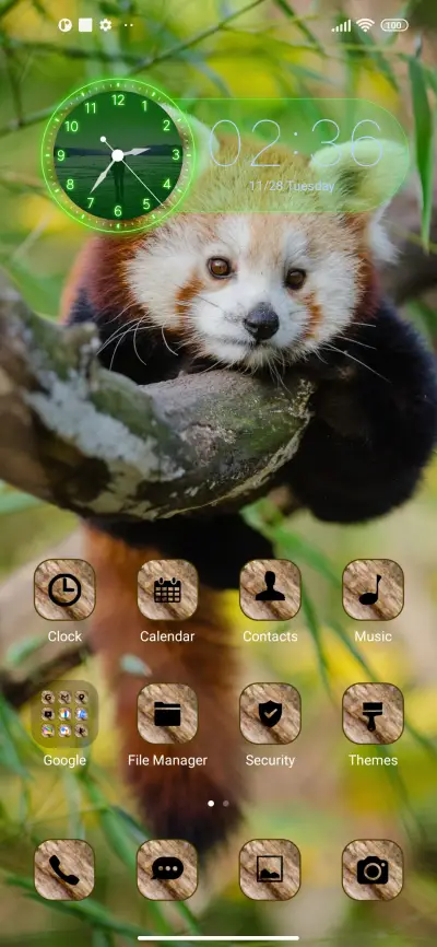 wildlife red panda - Screenshot 2