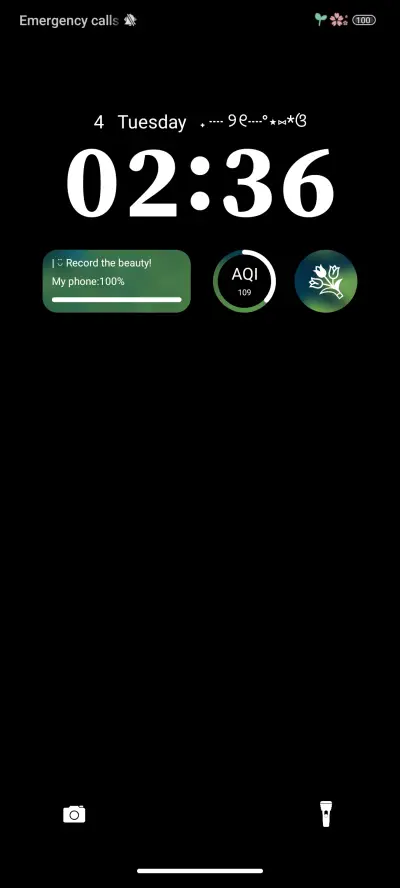 Lotus Leaf Koi - Screenshot 2