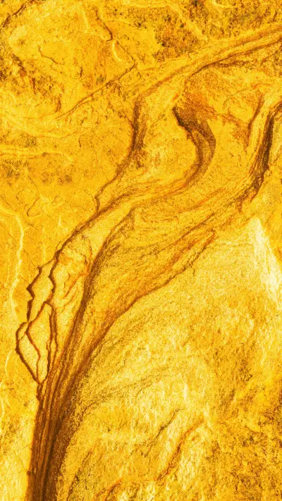 Discovered over 40 gold veins