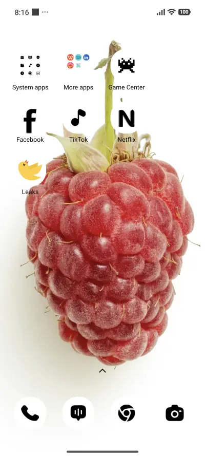 Raspberry Snow - Screenshot 3