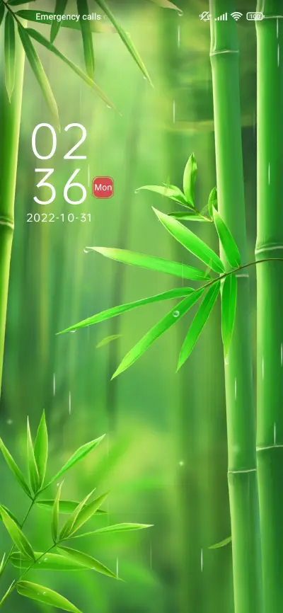 Zen+green+bamboo