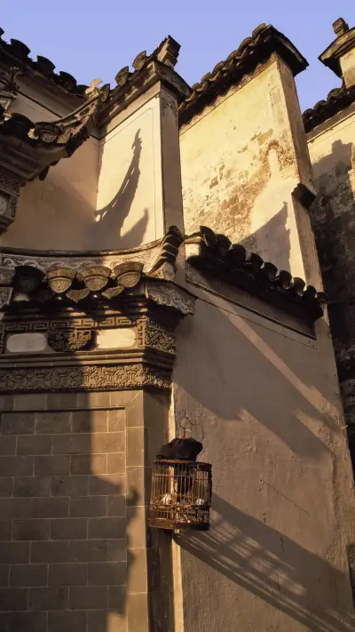 There is no need to demolish these 5 illegal buildings in