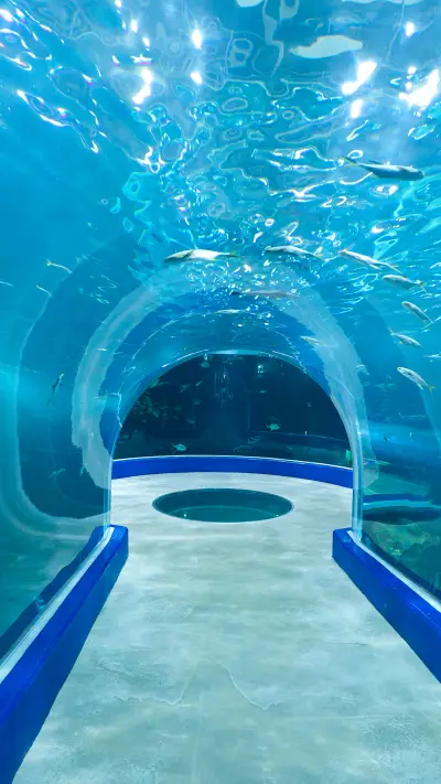 International-Aquarium