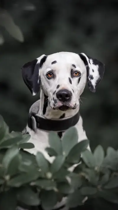 VCG211183752299 - Screenshot 1