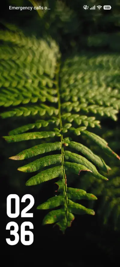 Aster - Screenshot 1