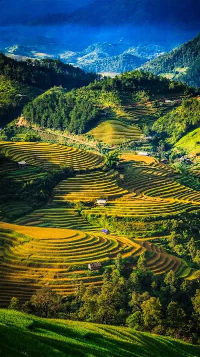 Terraces in Yunnan