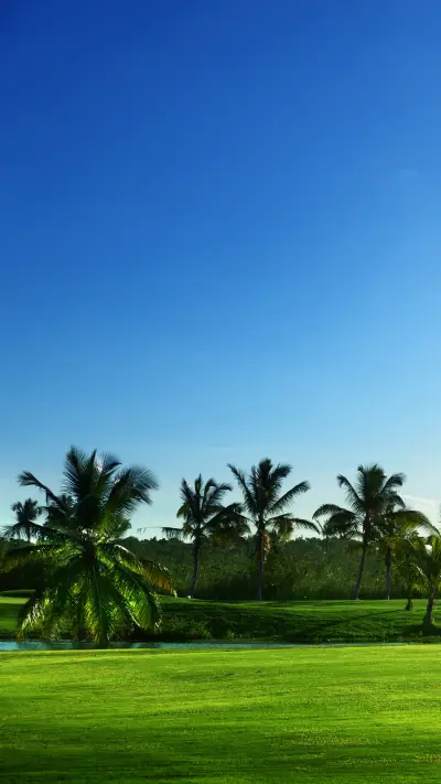 Green grass and blue sky - Screenshot 1