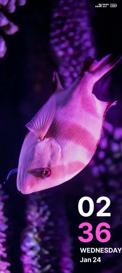 Underwater Fish