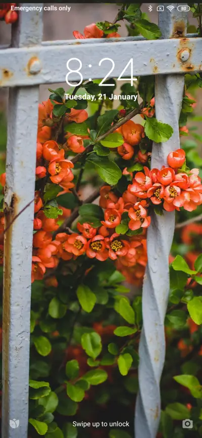 Official MIUI Theme_8