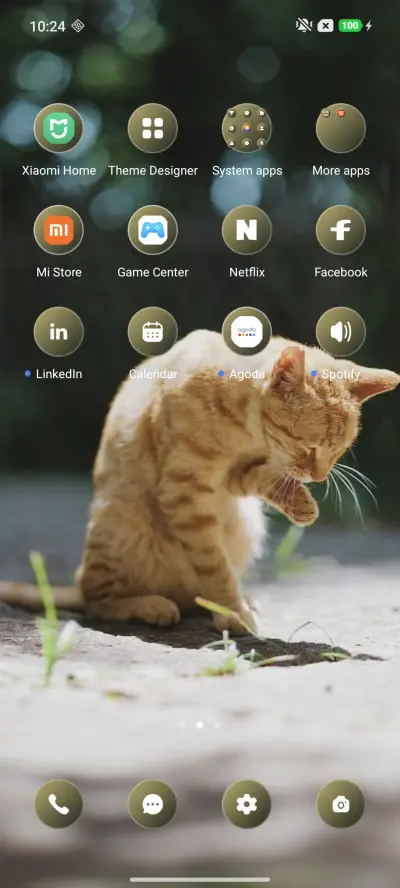 Cat Look - Screenshot 3