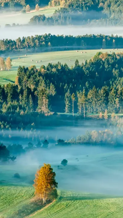 Nature And Human - Screenshot 1